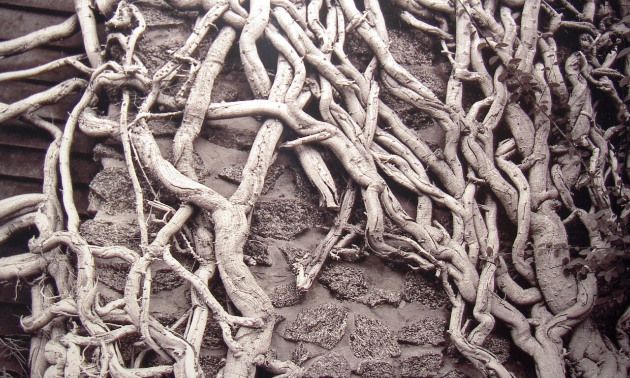 Miracle on 35th Street Toy Drive and Art Exhibition