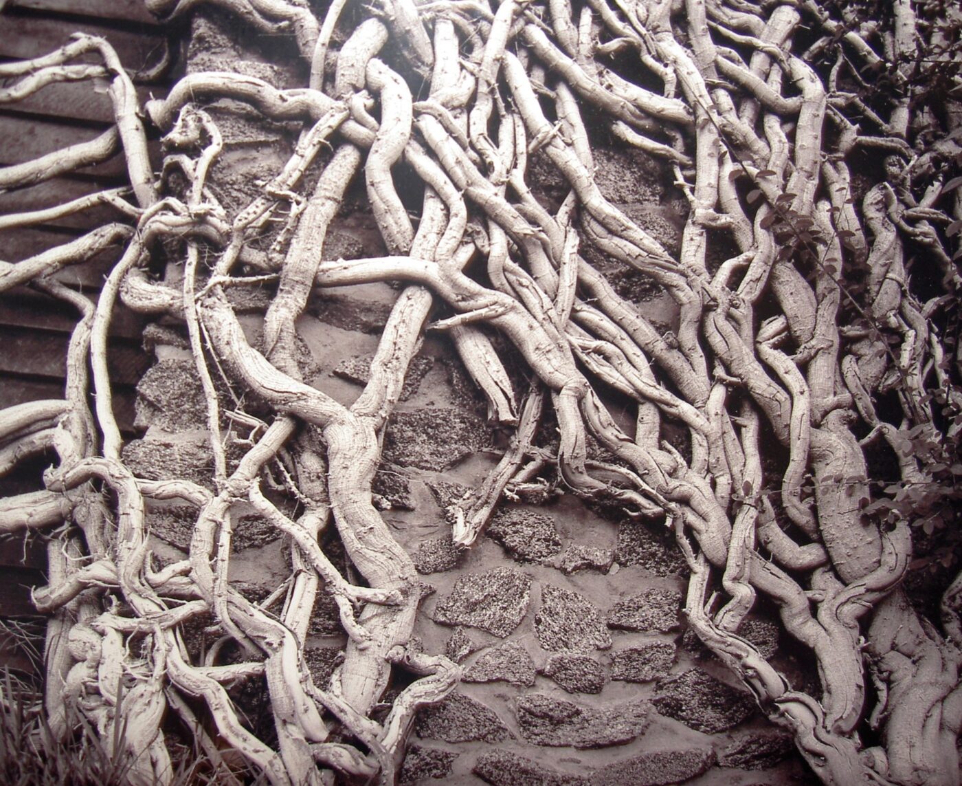 Photography Of Gil Ortiz - Miracle on 35th Street Holiday Cocktail Party, Art Exhibit and Toy Drive 2007