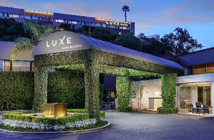 An Evening of Art, Culture & Culinary Excellence