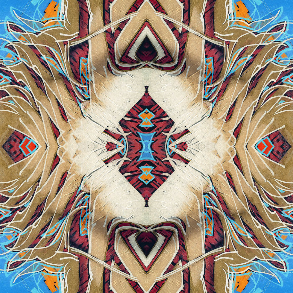 Bart Ross Photography